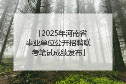2025年河南省事业单位公开招聘联考笔试成绩发布