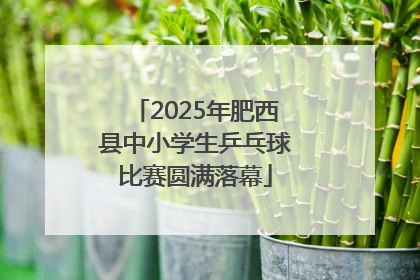 2025年肥西县中小学生乒乓球比赛圆满落幕