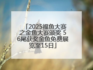 2025福鱼大赛之金鱼大赛颁奖 56尾获奖金鱼免费展览至15日