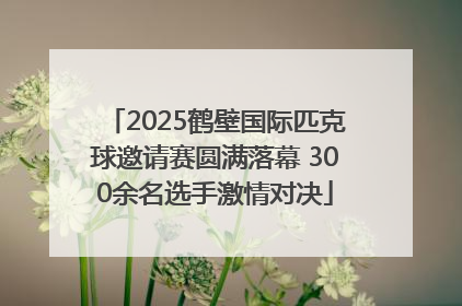 2025鹤壁国际匹克球邀请赛圆满落幕 300余名选手激情对决