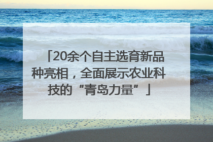 20余个自主选育新品种亮相，全面展示农业科技的“青岛力量”