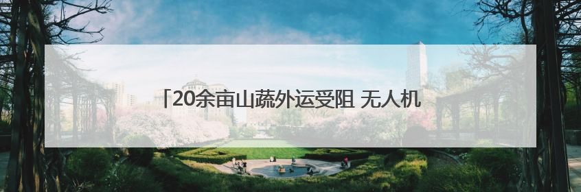 20余亩山蔬外运受阻 无人机极限飞行8小时转运6吨蔬菜
