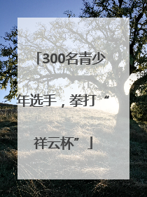 300名青少年选手，拳打“祥云杯”