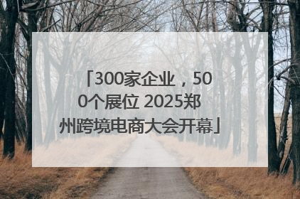 300家企业，500个展位 2025郑州跨境电商大会开幕