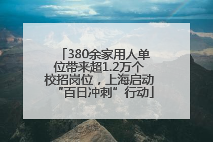 380余家用人单位带来超1.2万个校招岗位，上海启动“百日冲刺”行动