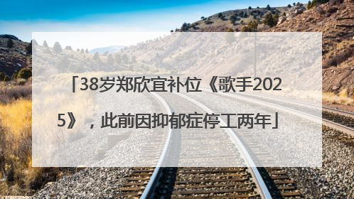 38岁郑欣宜补位《歌手2025》，此前因抑郁症停工两年