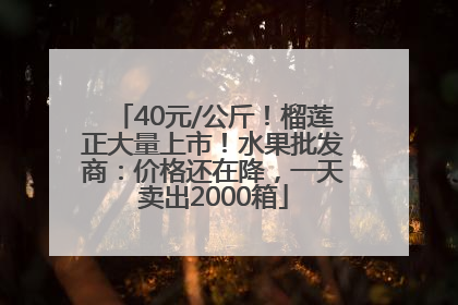 40元/公斤！榴莲正大量上市！水果批发商：价格还在降，一天卖出2000箱