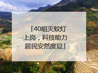 40组灭蚊灯上岗，科技助力居民安然度夏