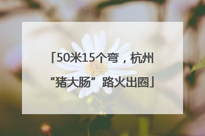 50米15个弯，杭州“猪大肠”路火出圈