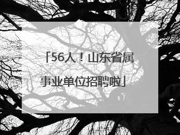 56人！山东省属事业单位招聘啦