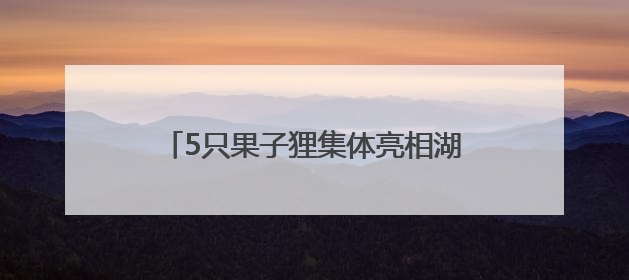 5只果子狸集体亮相湖南南山国家公园候选区