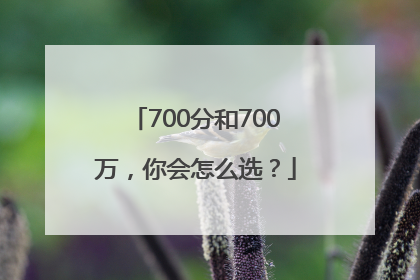 700分和700万，你会怎么选？