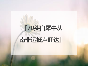 70头白犀牛从南非运抵卢旺达