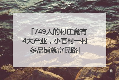 749人的村庄竟有4大产业，小官村一村多品铺就富民路