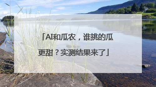 AI和瓜农，谁挑的瓜更甜？实测结果来了