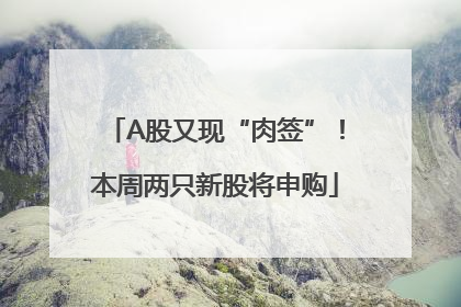 A股又现“肉签”！本周两只新股将申购