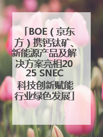 BOE（京东方）携钙钛矿、新能源产品及解决方案亮相2025 SNEC 科技创新赋能行业绿色发展
