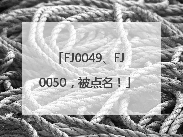 FJ0049、FJ0050，被点名！