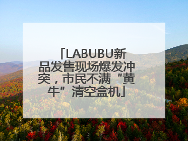 LABUBU新品发售现场爆发冲突，市民不满“黄牛”清空盒机