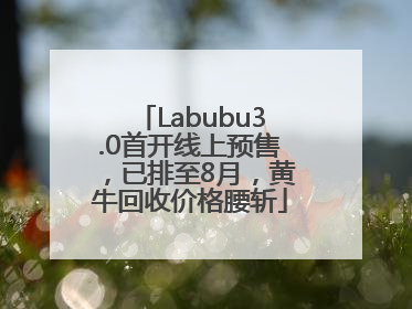 Labubu3.0首开线上预售，已排至8月，黄牛回收价格腰斩
