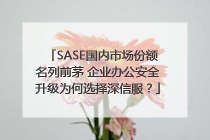 SASE国内市场份额名列前茅 企业办公安全升级为何选择深信服？