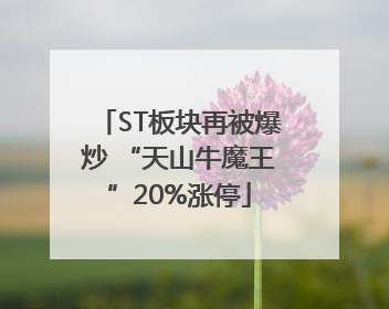 ST板块再被爆炒 “天山牛魔王”20%涨停