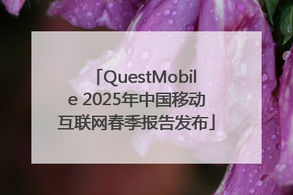 QuestMobile 2025年中国移动互联网春季报告发布