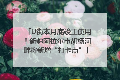 U街本月底竣工使用！新疆阿拉尔市胡杨河畔将新增“打卡点”